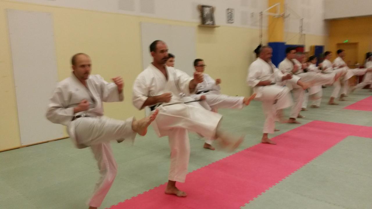 entraînement ados adultes